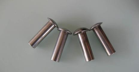 不銹鋼301外迫壁虎 特性、應用與選購指南